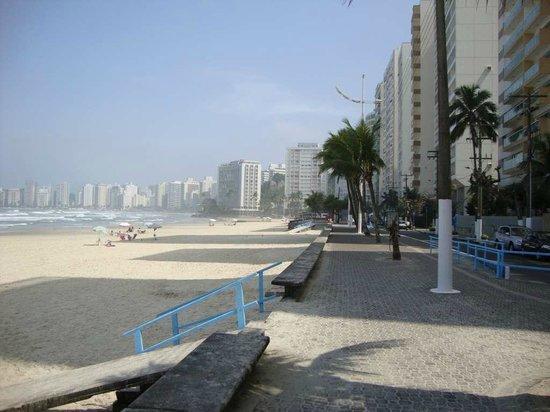 Pitangueiras -